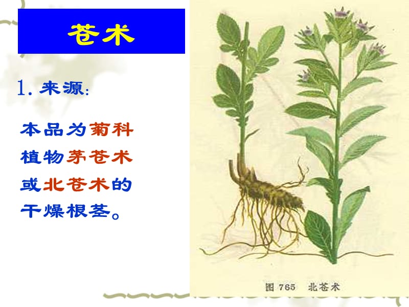 12根及根茎类药材(5).ppt_第1页