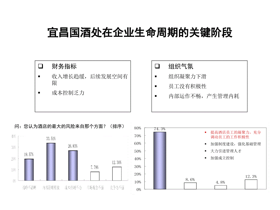 202X年某国际大酒店人力资源与成本控制诊断报告_第2页