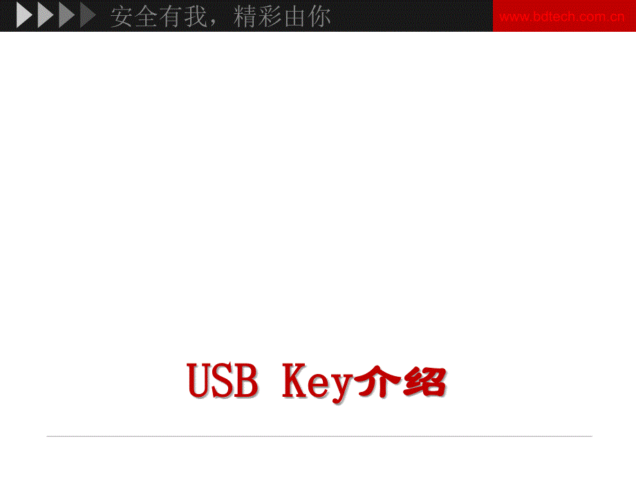 USB KEY介绍.ppt_第1页