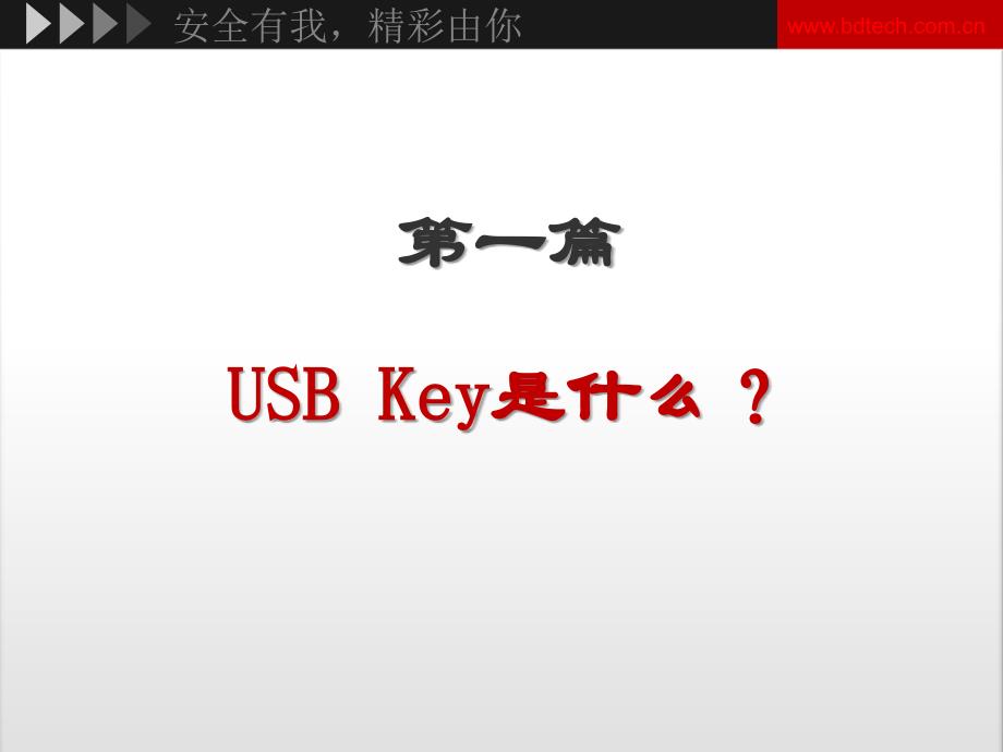 USB KEY介绍.ppt_第2页