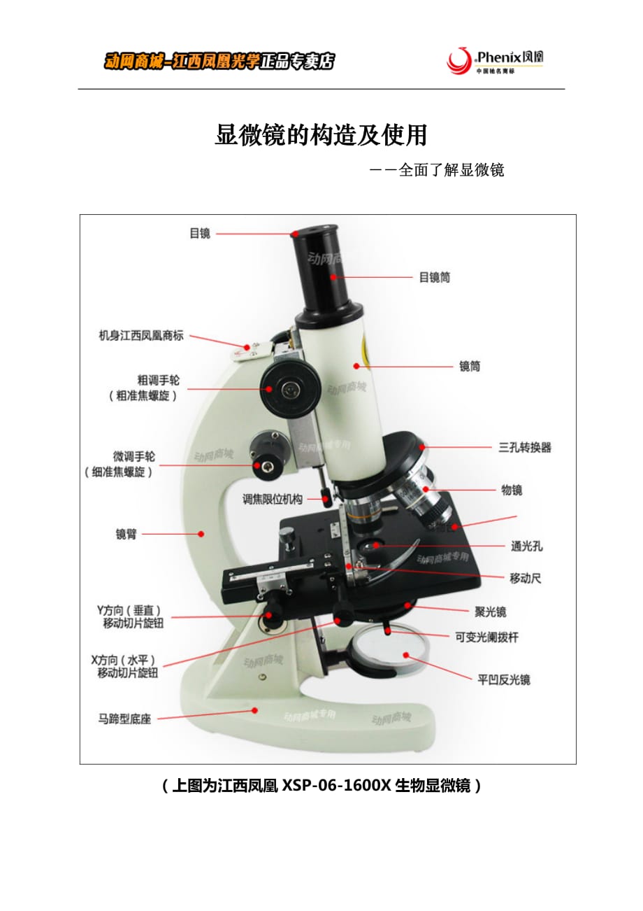 [使用入门]显微镜的构造及使用.pdf_第1页
