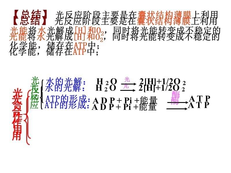 光和作用光反应阶段1.ppt_第5页