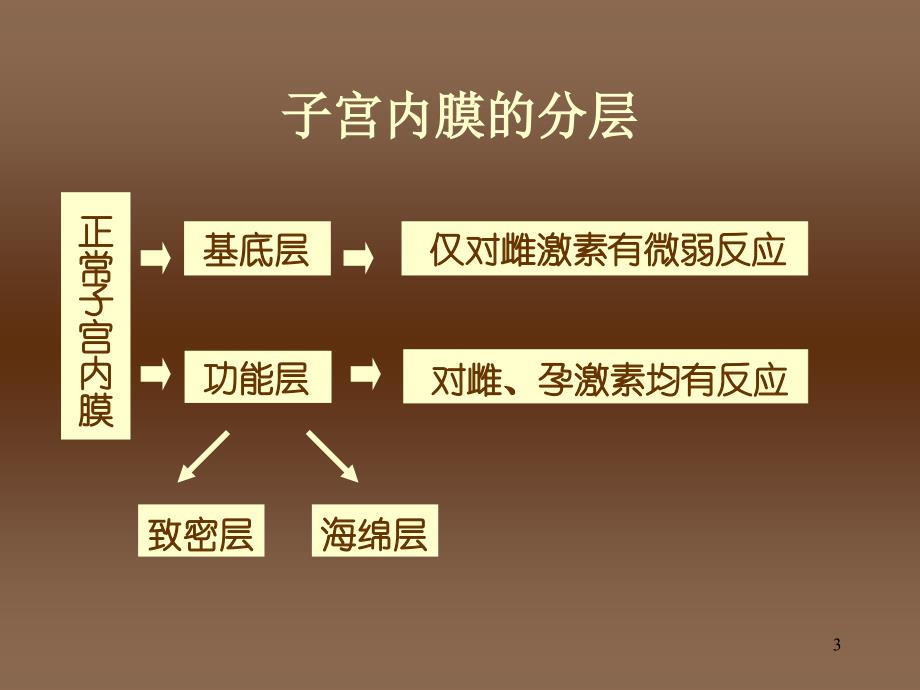 子宫内膜组织学知识PPT课件_第3页