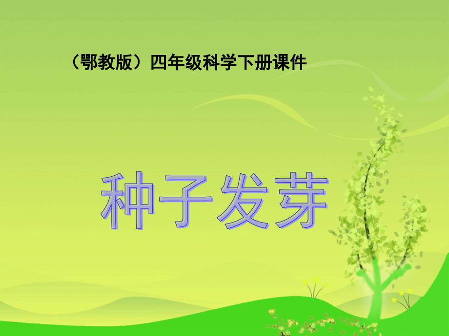 《种子发芽》课件-鄂教版小学科学四年级下册课件 精品_第1页