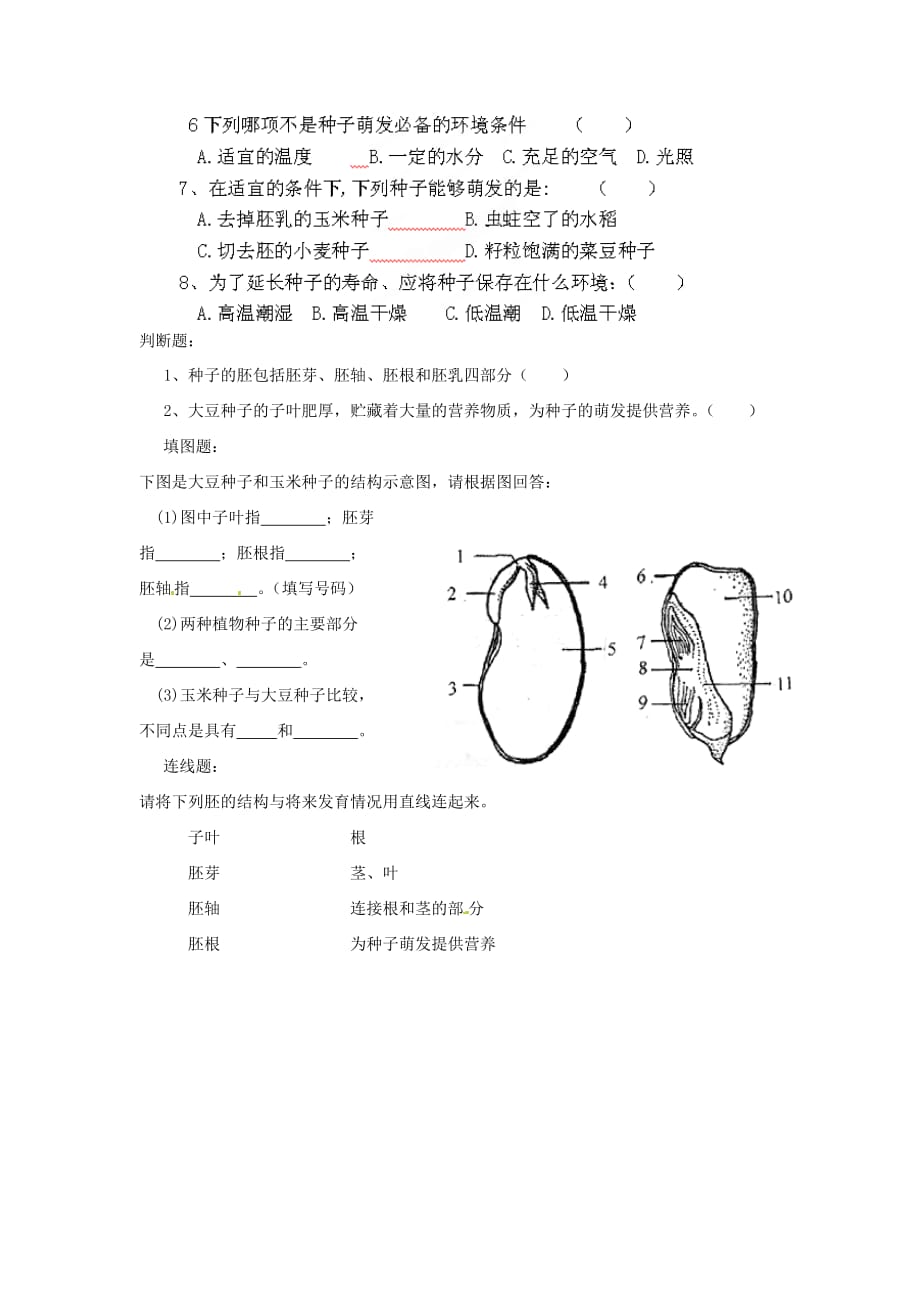 北京市七年级生物上册《5.1 植物种子的萌发》导学案（无答案） （新版）苏教版_第2页