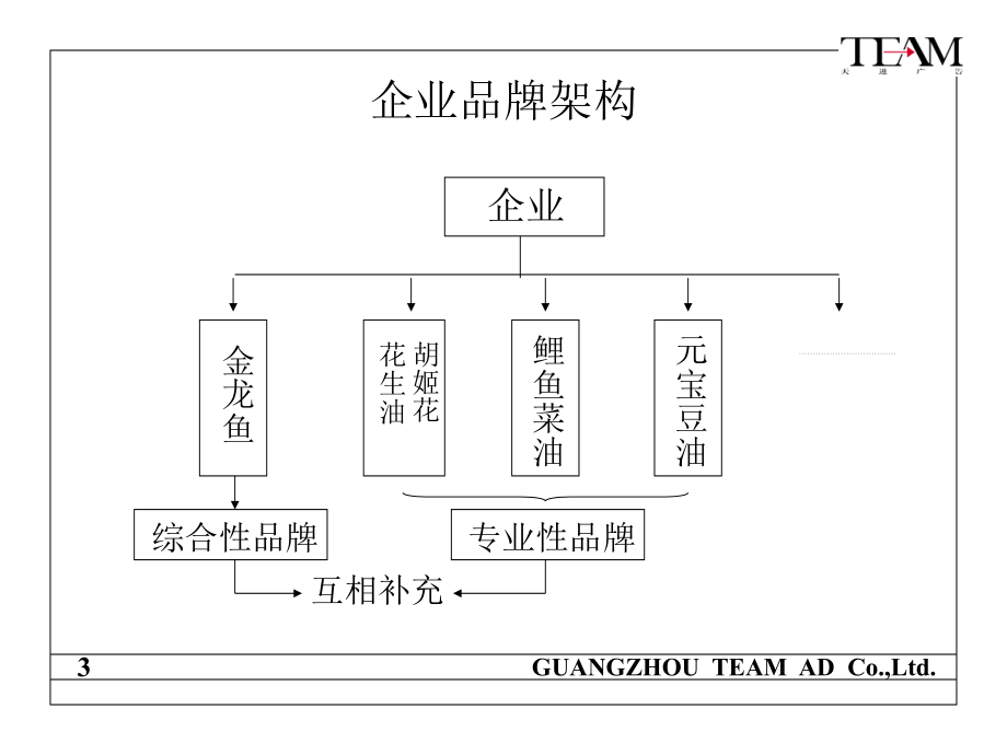 202X年某花生油品牌战略规划_第3页