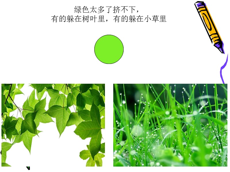 中班--语言--捉迷藏.ppt_第3页