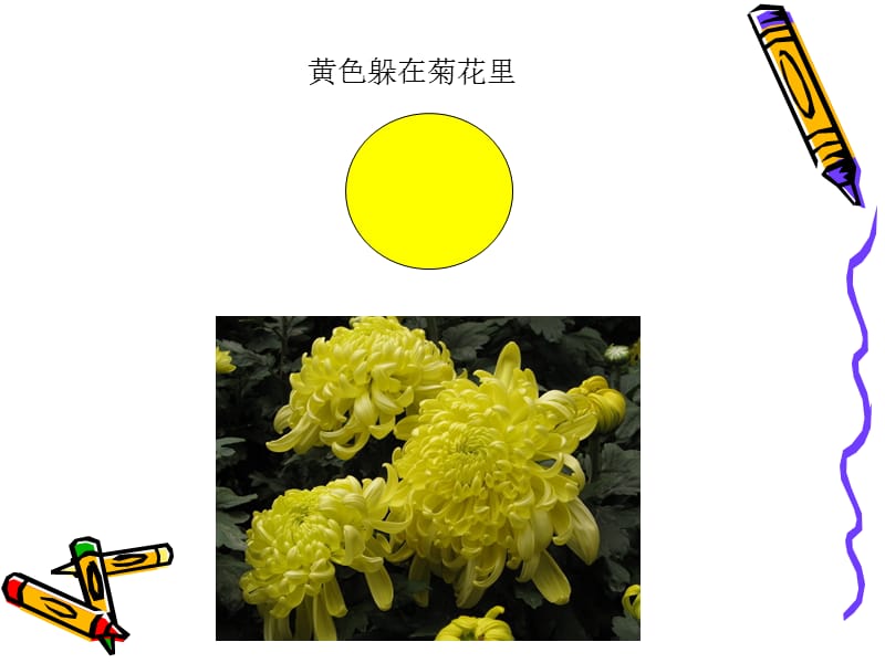 中班--语言--捉迷藏.ppt_第4页