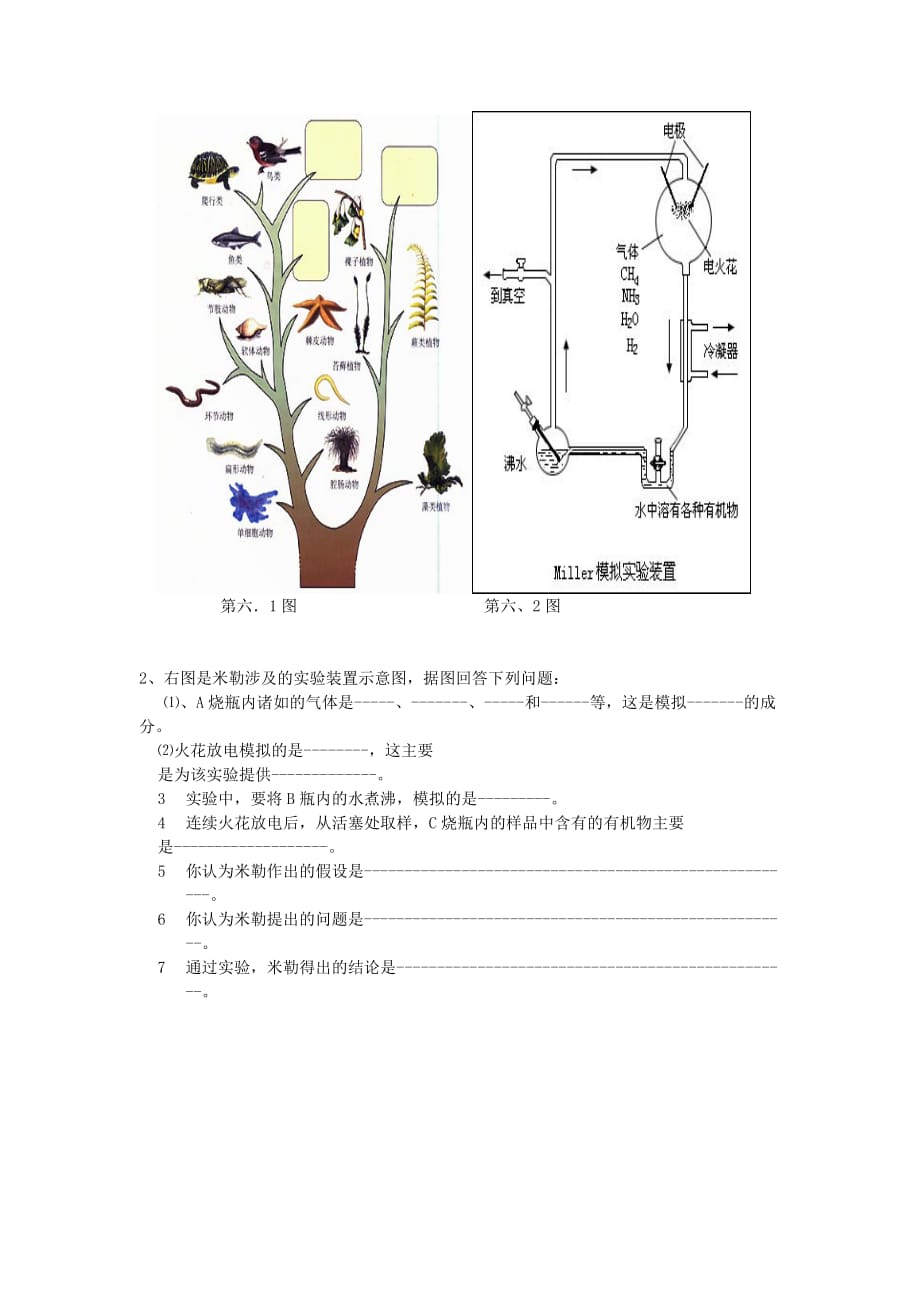 八年级生物下册 5.1《生命的起源和进化》复习学案（无答案） 济南版_第4页