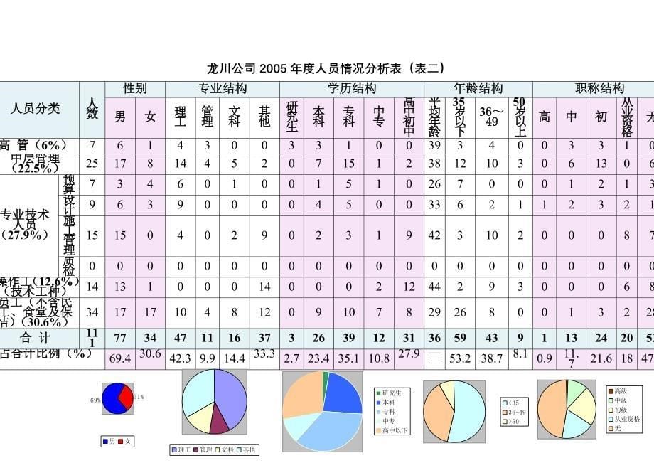 202X年某集团人力资源战略规划_第5页