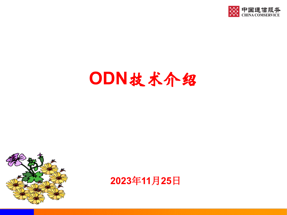 2、ODN介绍.ppt_第1页