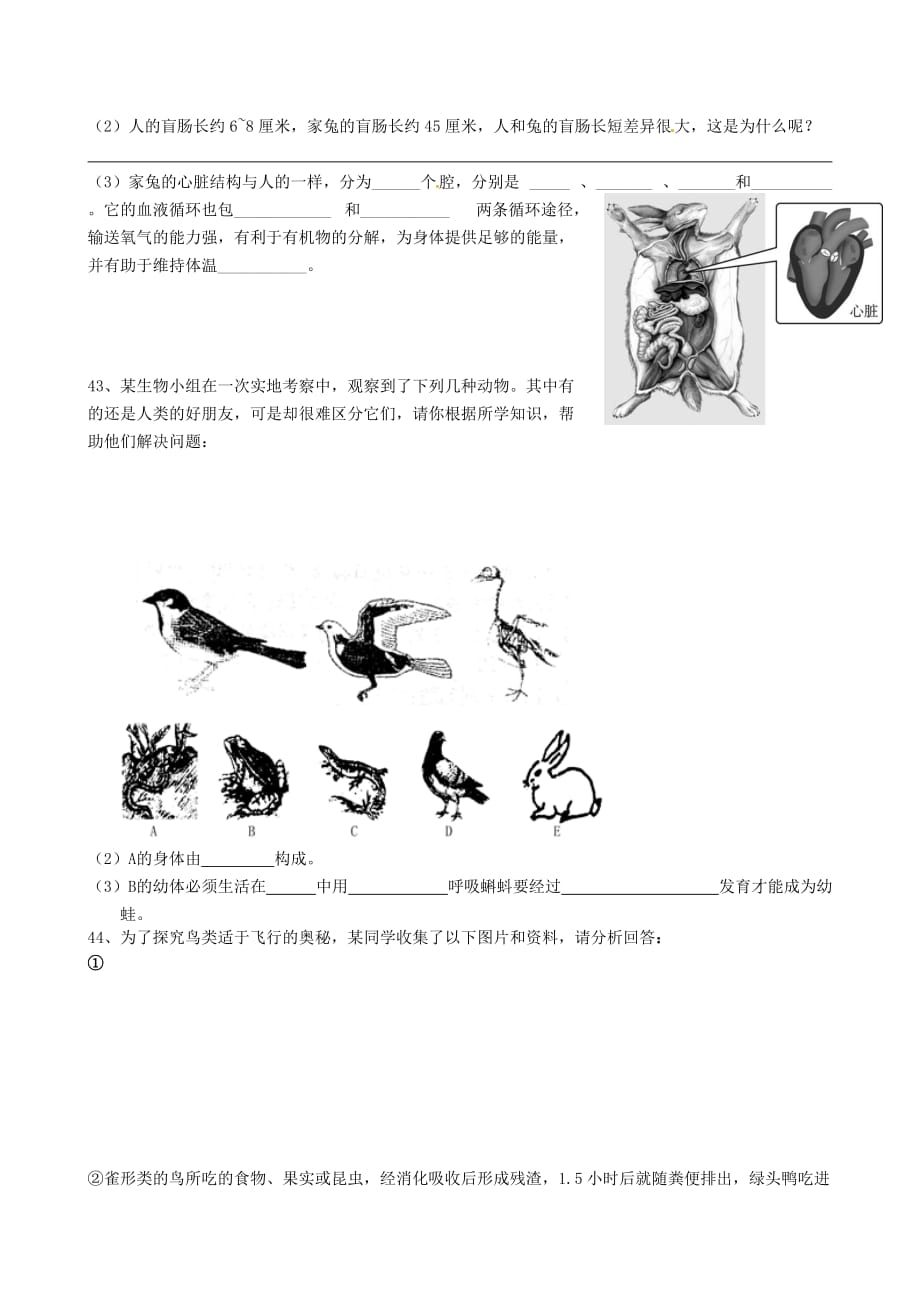 内蒙古自治区赤峰市2020学年八年级生物上学期期末考试试题（无答案）_第4页