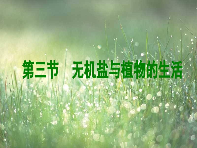 无机盐与植物的生长ppt课件_第1页