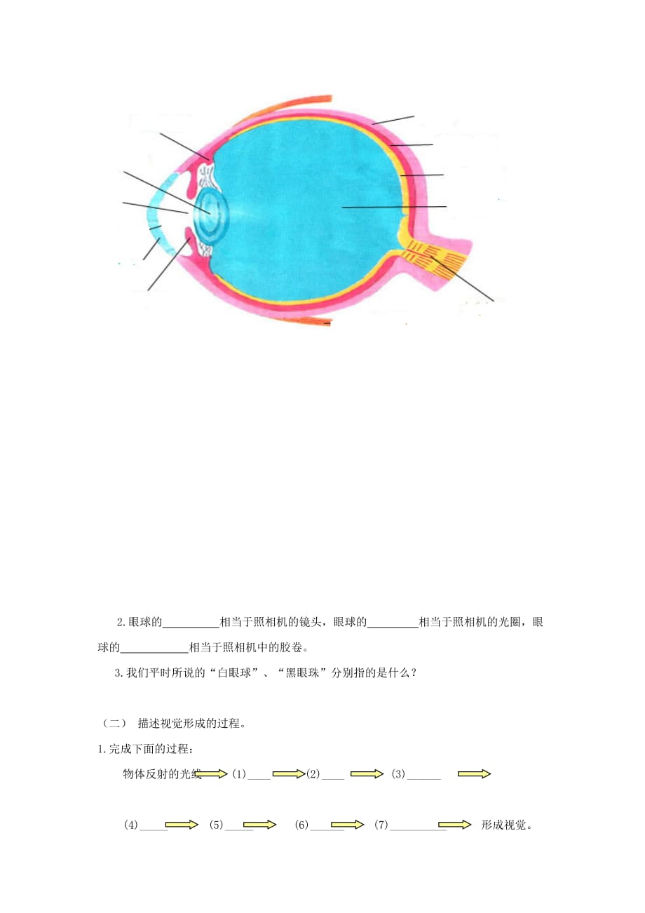 2020七年级生物下册 6.1 人体对外界环境的感知教学案（无答案）（新版）新人教版_第2页