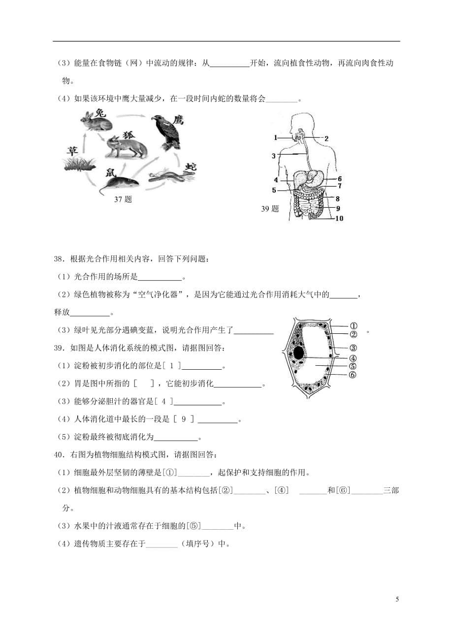 江苏省兴化市七年级生物上学期期末考试试题_第5页