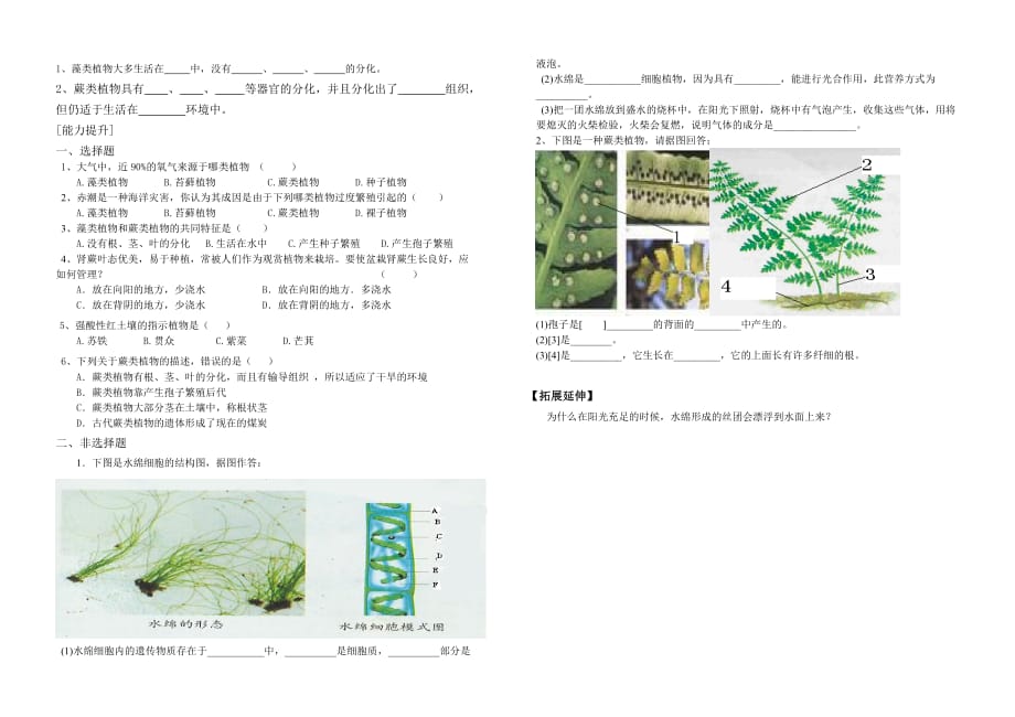 七年级生物上册 第一节 绿色植物的主要类群（一）学案 济南版_第2页