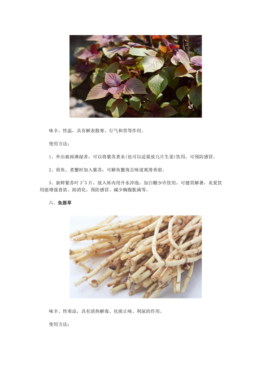 六种花适合放在室内 既能观赏又能食用!!!.doc_第4页