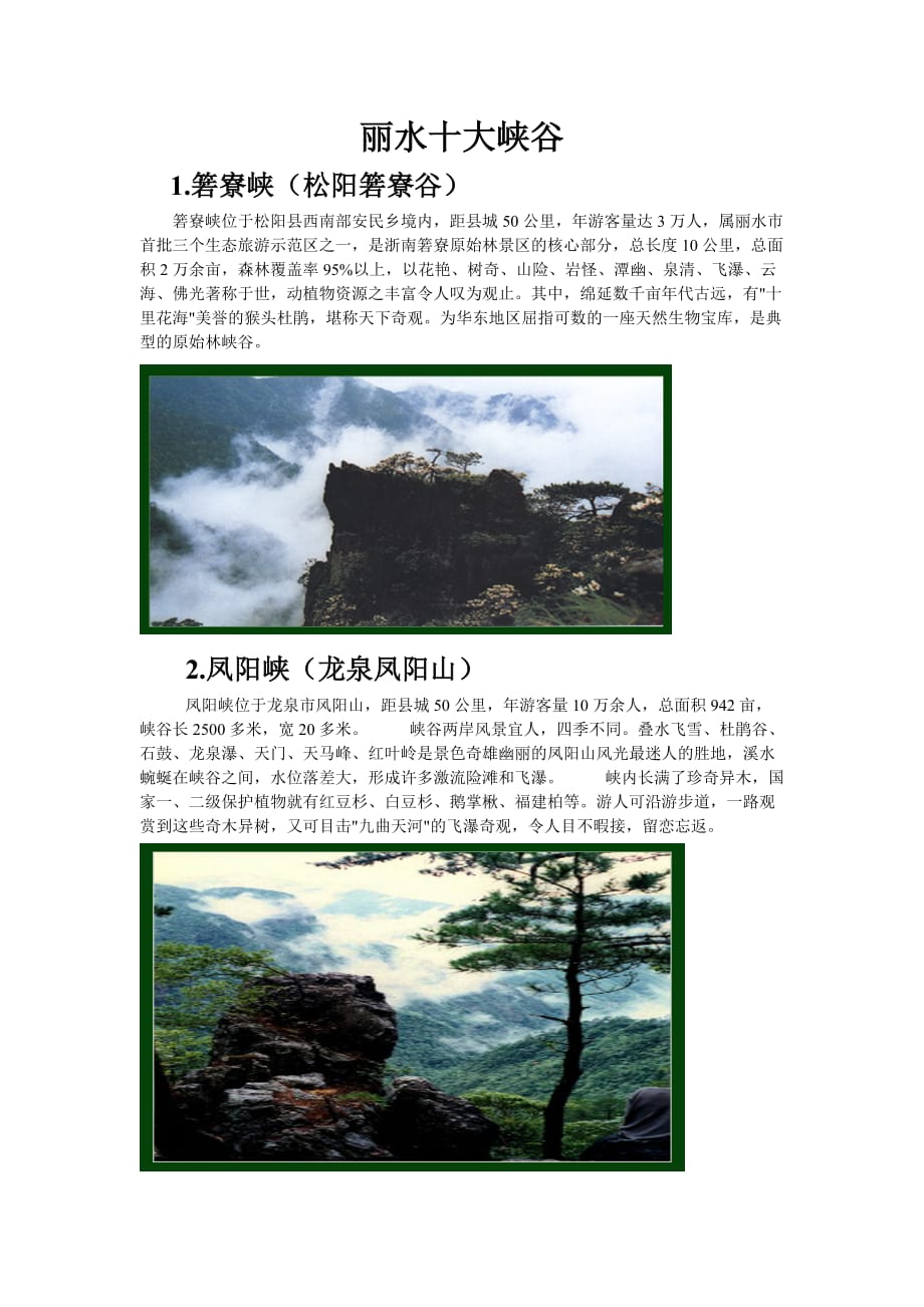 丽水十大峡谷.doc_第1页