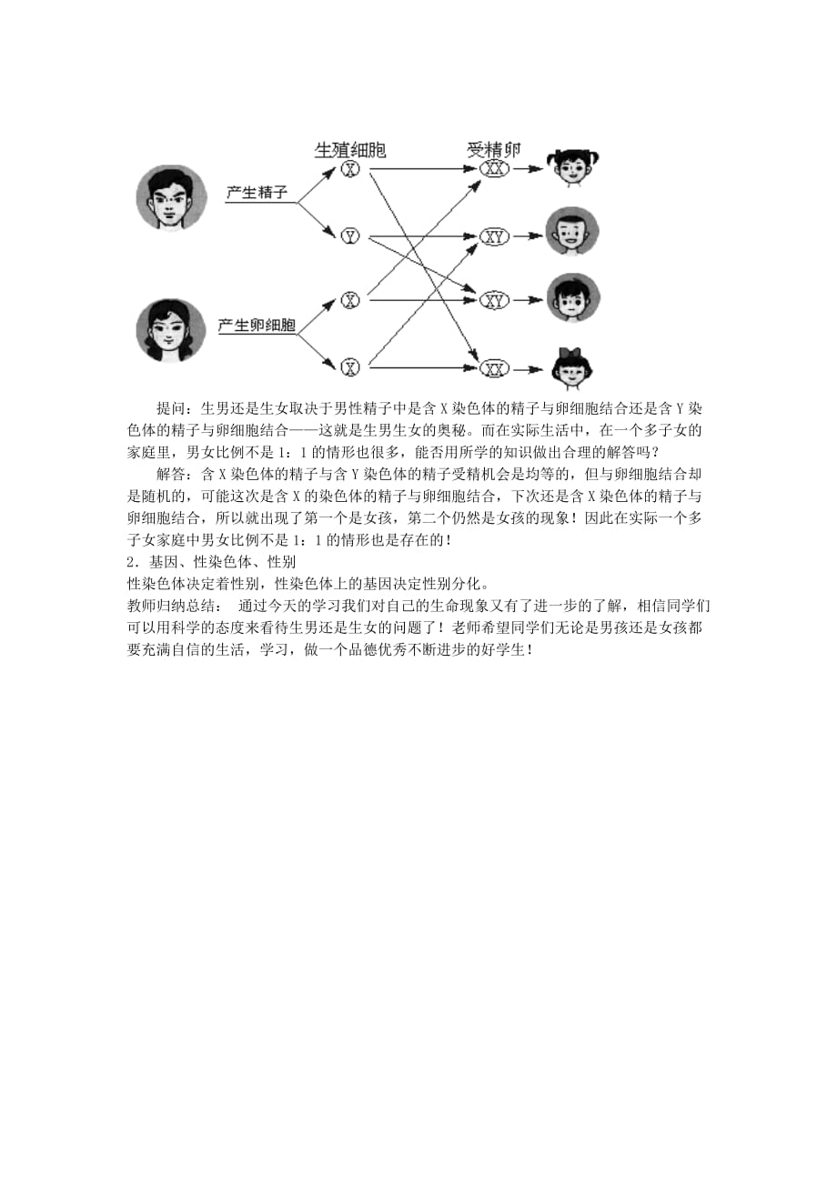 八年级生物上册 15.3《人的性别遗传》教案 苏教版_第2页