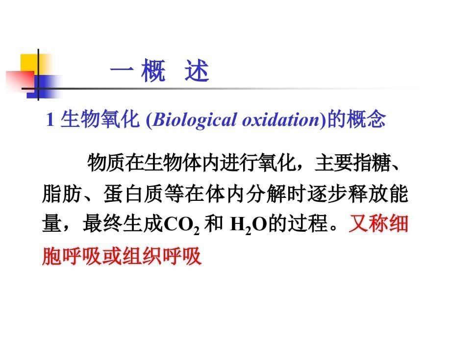 考研科目,动物生物化学 第9章 生物氧化.ppt_第5页