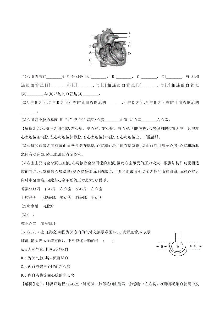 七年级生物下册 4.4.3输送血液的泵 心脏一课三练 提能培优（新版）新人教版_第4页