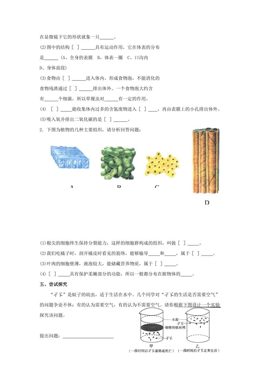 七年级生物下册：第8章生物体有相似的结构层次复习检测（苏科版）_第5页