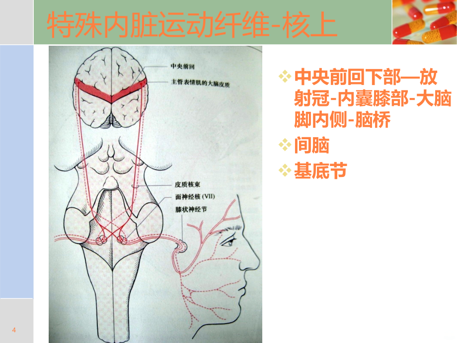 神经内科学术沙龙PPT课件_第4页