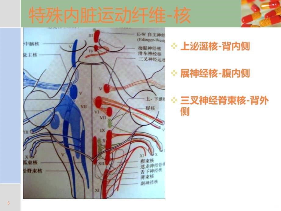 神经内科学术沙龙PPT课件_第5页