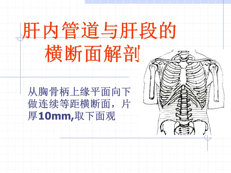 肝内管道与肝段的横断面解剖.ppt_第1页