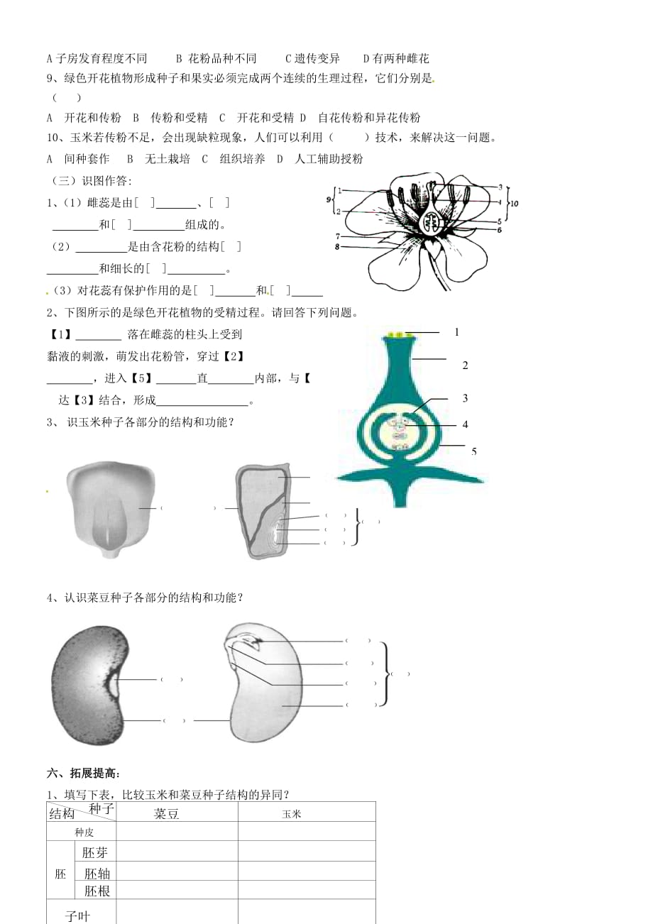山东省东营市第二中学八年级生物 《第一章绿色开花植物的一生》1—3节复习学案（无答案）_第3页