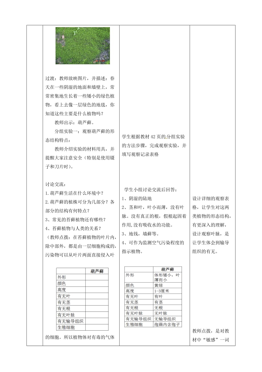 2020年秋七年级生物上册 2.1.1 绿色植物的主要类群（第一课时）教学案（无答案）（新版）济南版_第4页