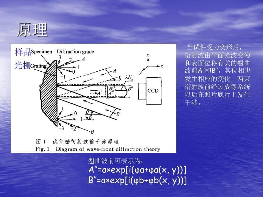 云纹干涉法介绍ppt.ppt_第5页