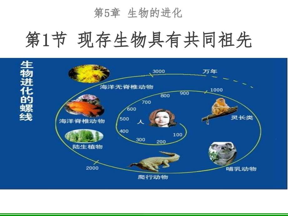 现存生物具有共同祖先.ppt_第1页