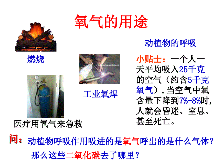 光合作用吸收二氧化碳释放氧气.ppt_第2页