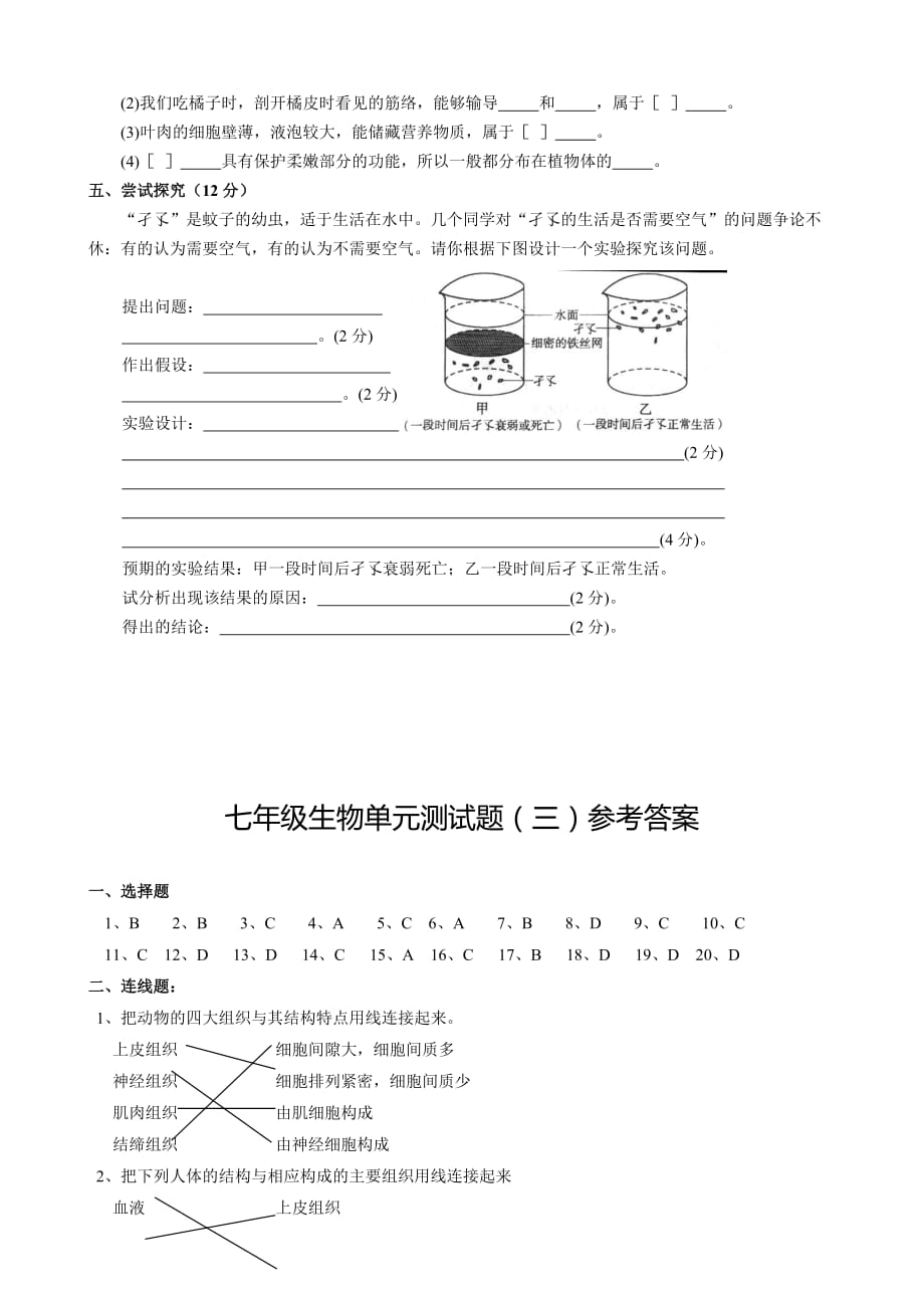 七年级生物第二单元(第三、四章)测试题 新课标 人教版_第4页