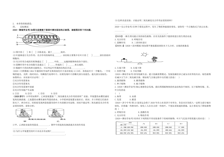 中考生物 2.1 第二单元 第一章 生物圈中的绿色植物复习导学案（无答案） 济南版_第3页