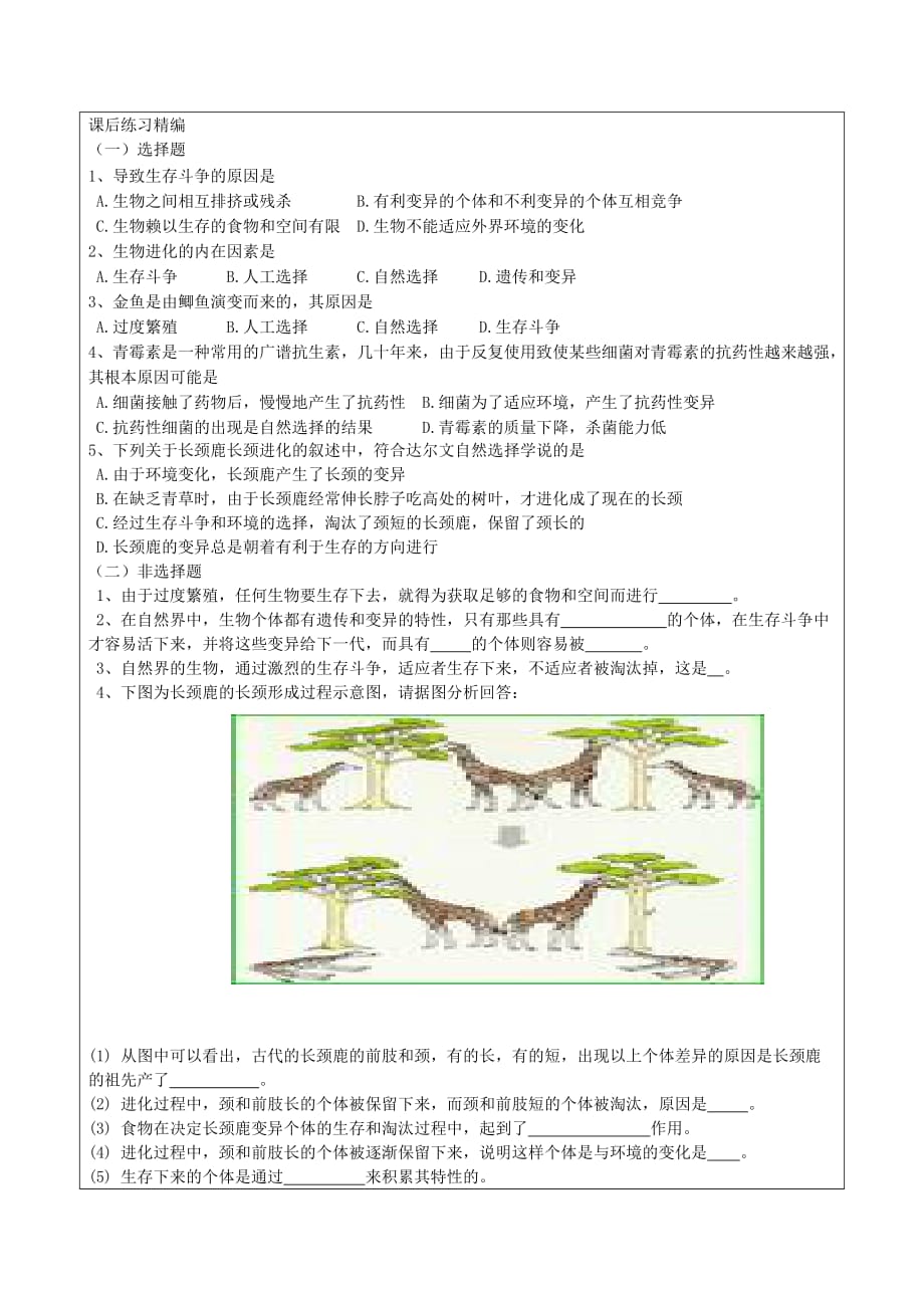 八年级生物下册 第五单元生命的演化第一章生命的起源和进化生物进化的原因教案 济南版_第4页