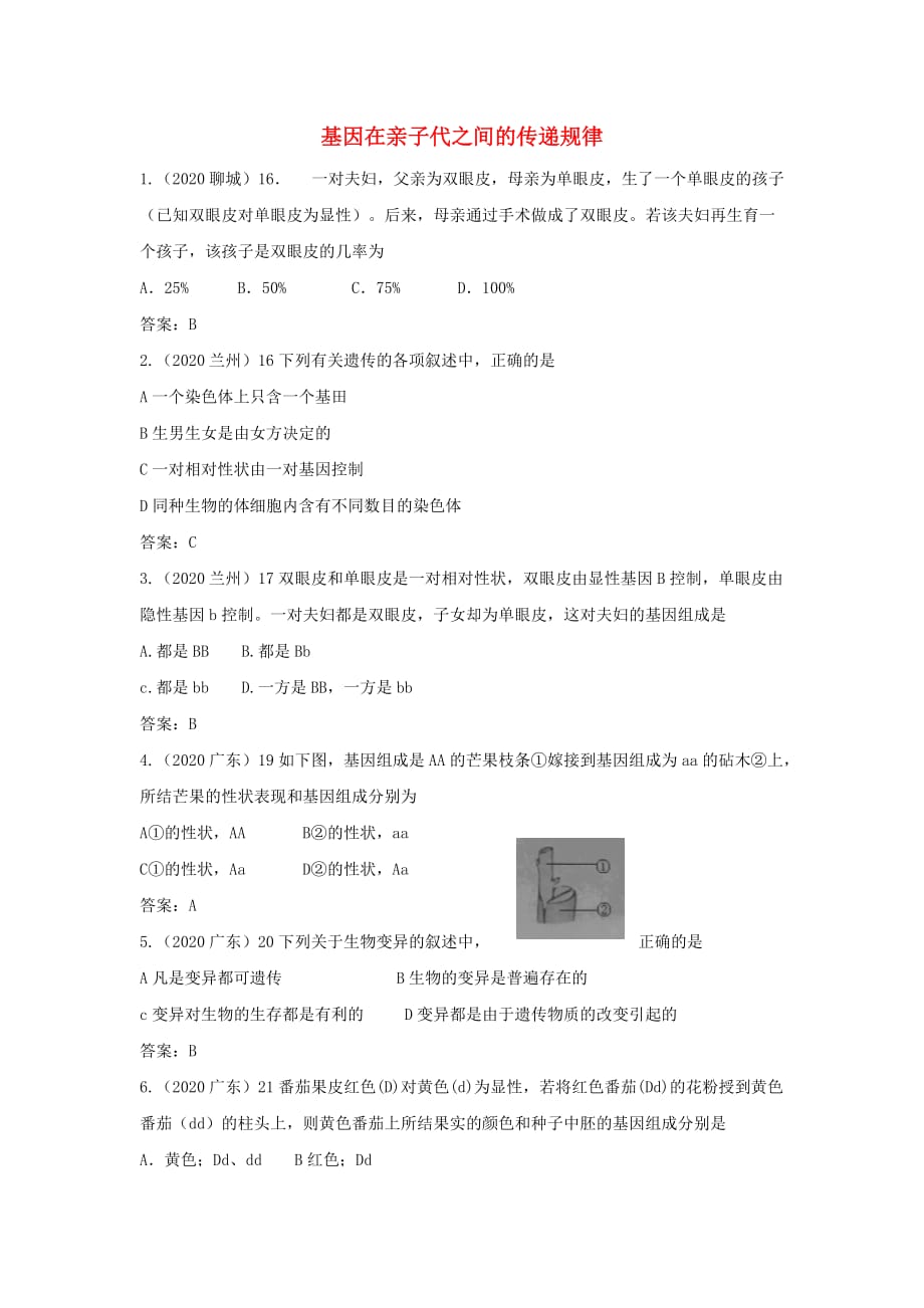 2020年江苏省东海县青湖中学中考生物一轮专题复习 八年级下册 基因在亲子代之间的传递规律_第1页