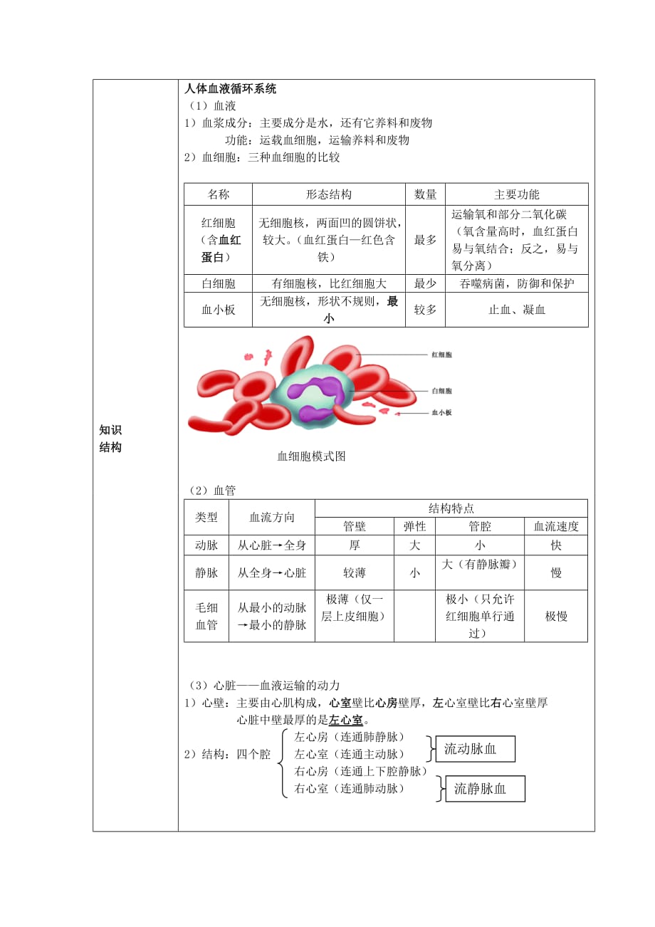 中考生物 专题四生物体内物质的运输教案1_第2页