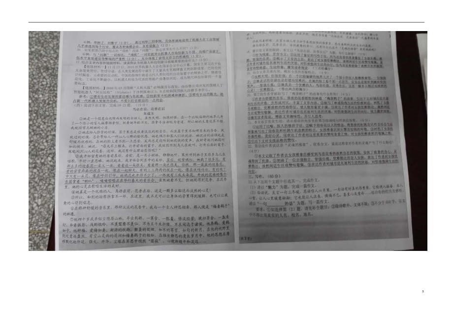 江苏省盐城市初级中学九年级语文第一次模拟试题（扫描版）_第5页