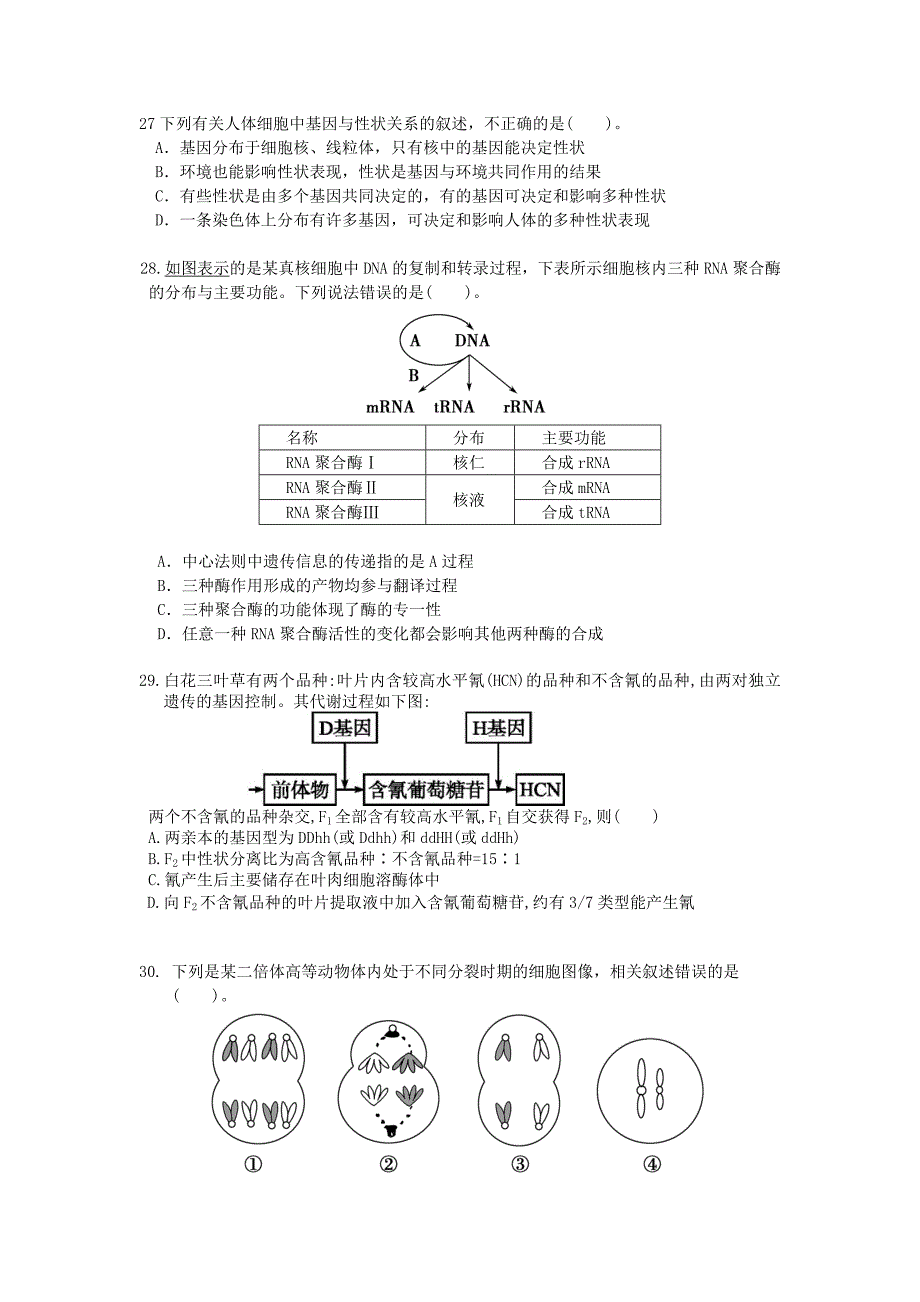 中心法则综合练习.doc_第3页