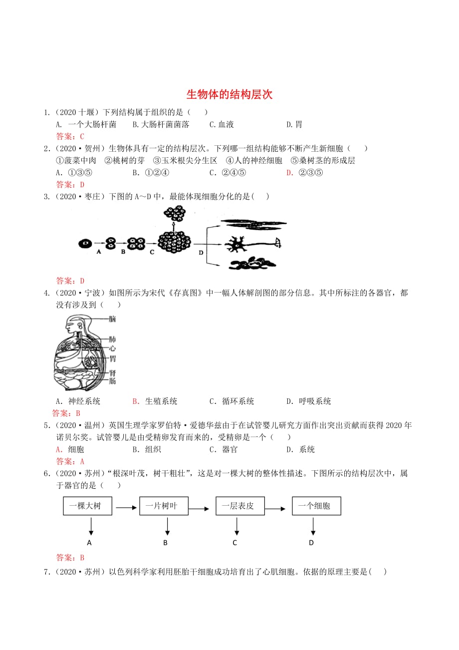 2020年中考生物试题分类集之三 生物体的结构层次_第1页