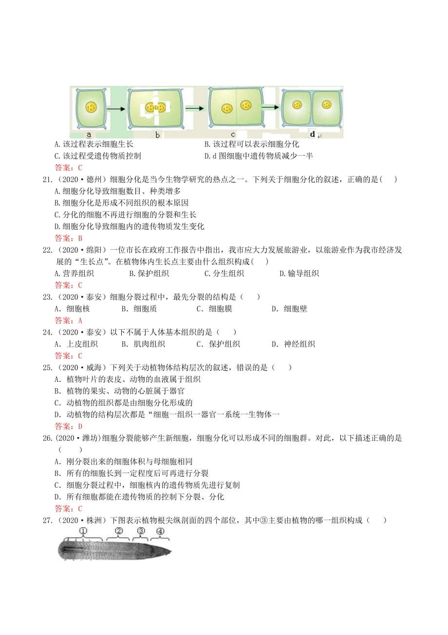 2020年中考生物试题分类集之三 生物体的结构层次_第4页