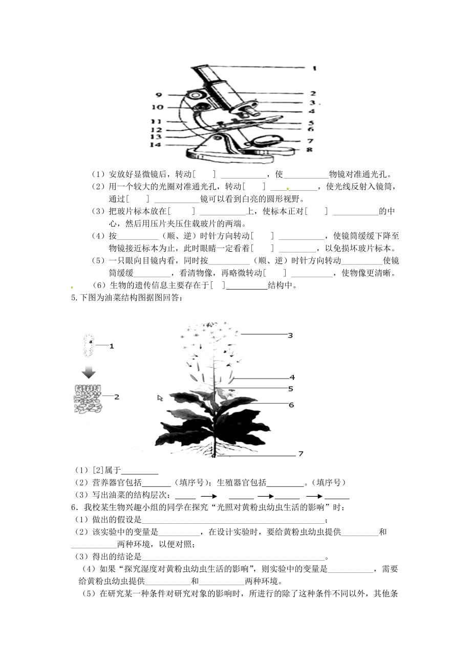 四川省岳池县第一中学七年级生物上册 第1单元 奇妙的生命现象复习学案（无答案）（新版）济南版_第4页