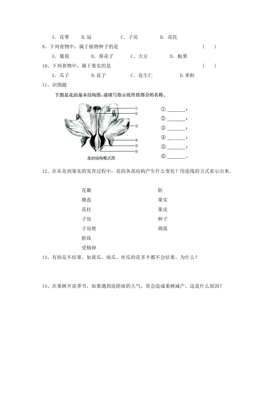 七年级生物上册 第3单元 生物圈中的绿色植物 第5章 绿色植物的一生 5.5 植物的开花和结果学案（无答案）（新版）苏教版_第4页