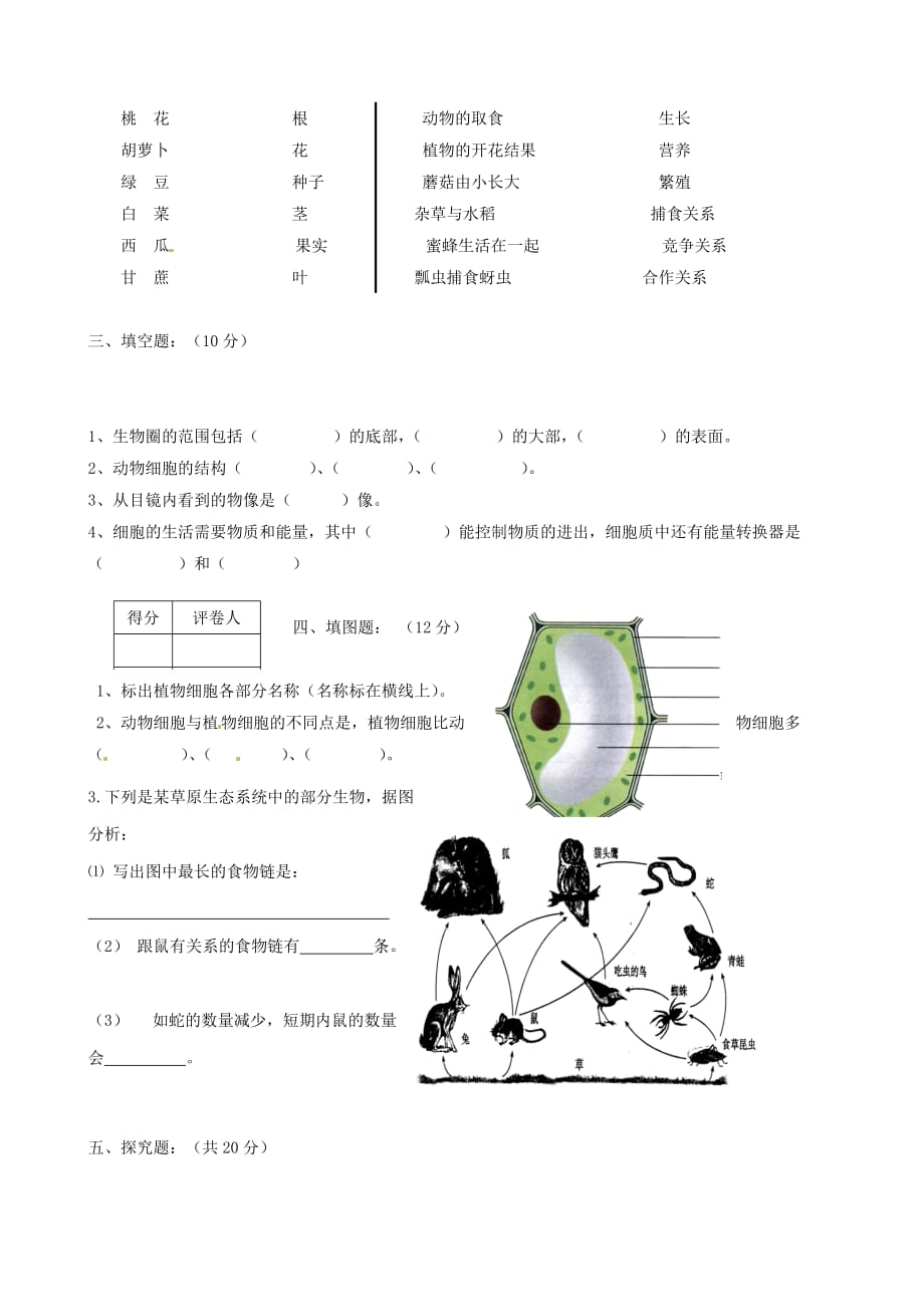 黑龙江省八五四农场中学2020学年七年级生物上学期期中试题（无答案）_第4页