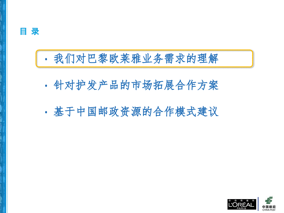 巴黎欧莱雅项目建议书2011_第2页