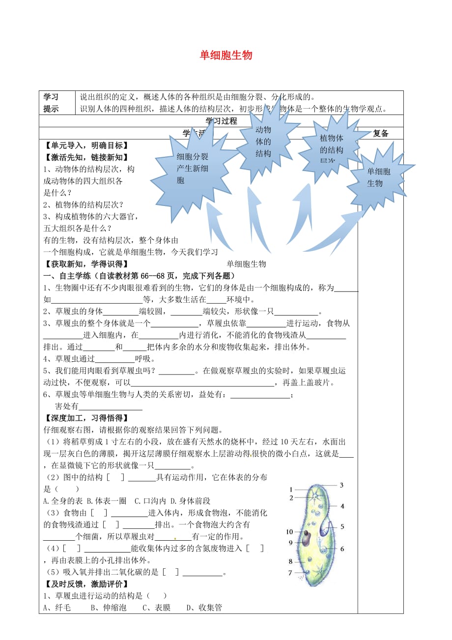 河北省唐山市钱营学校七年级生物上册 2.2.4 单细胞生物学案（无答案）（新版）新人教版_第1页