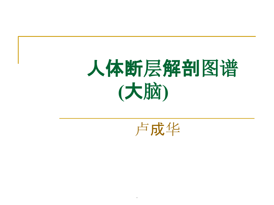 人体断层解剖图谱(大脑)PPT课件_第1页