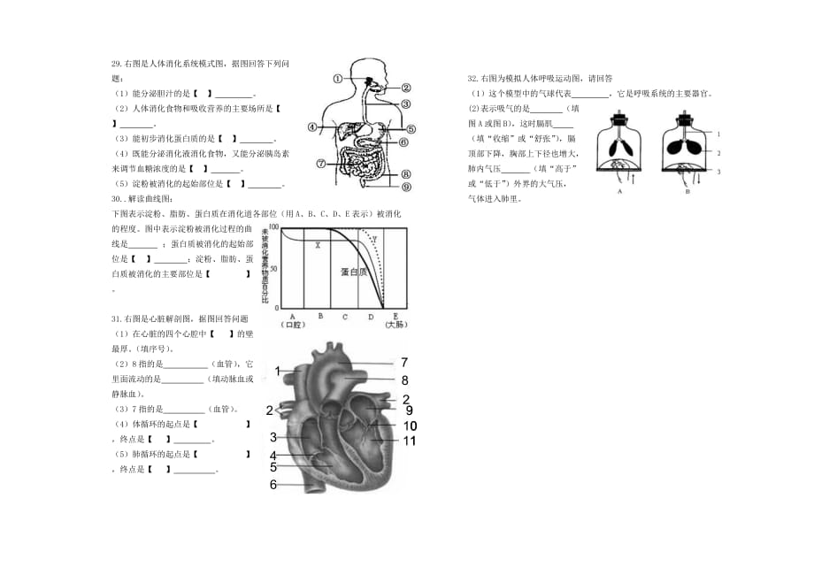 河南省新乡市新十一中学2020学年七年级生物下学期期中试题（无答案） 新人教版_第2页